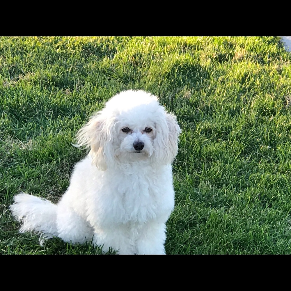 Meet your Posher, Michelle